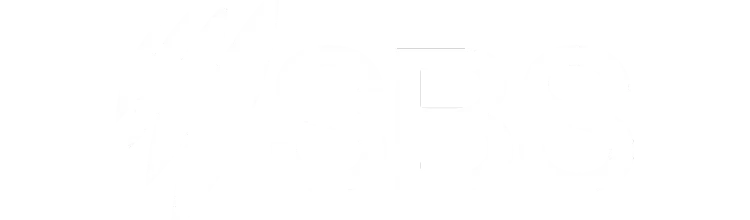 8.webp